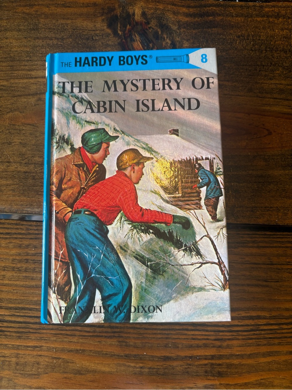 The Hardy Boys: The Mystery Of Cabin Island